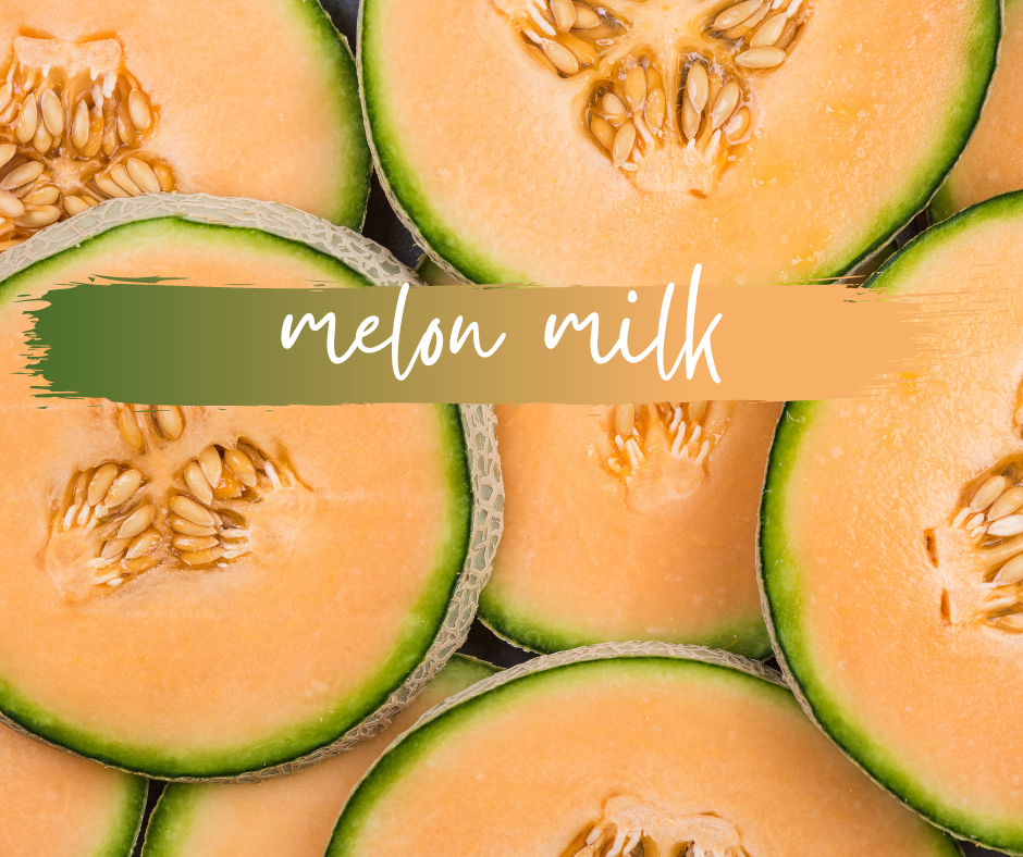 WAX TARTS | melon milk