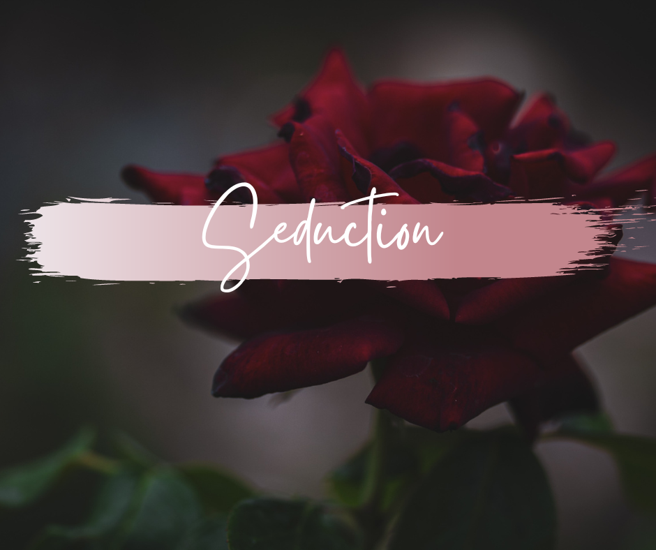 WAX MELTS | seduction
