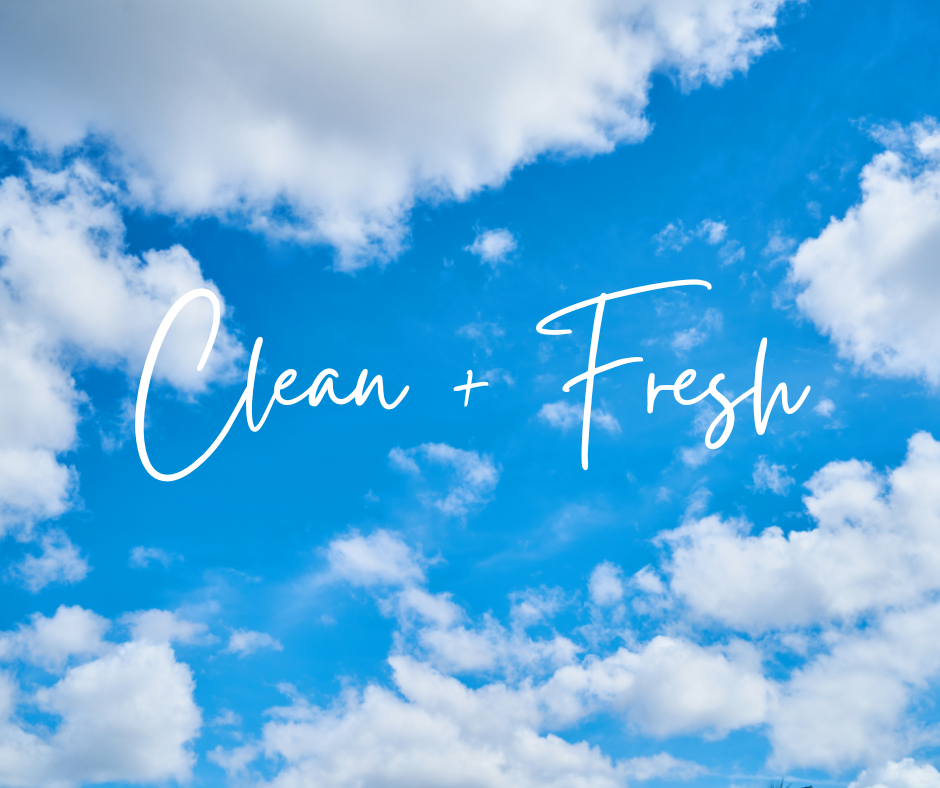 CLEAN & FRESH | WAX MELTS