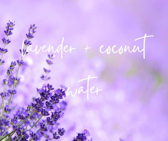 WAX TARTS  | lavender+coconut water