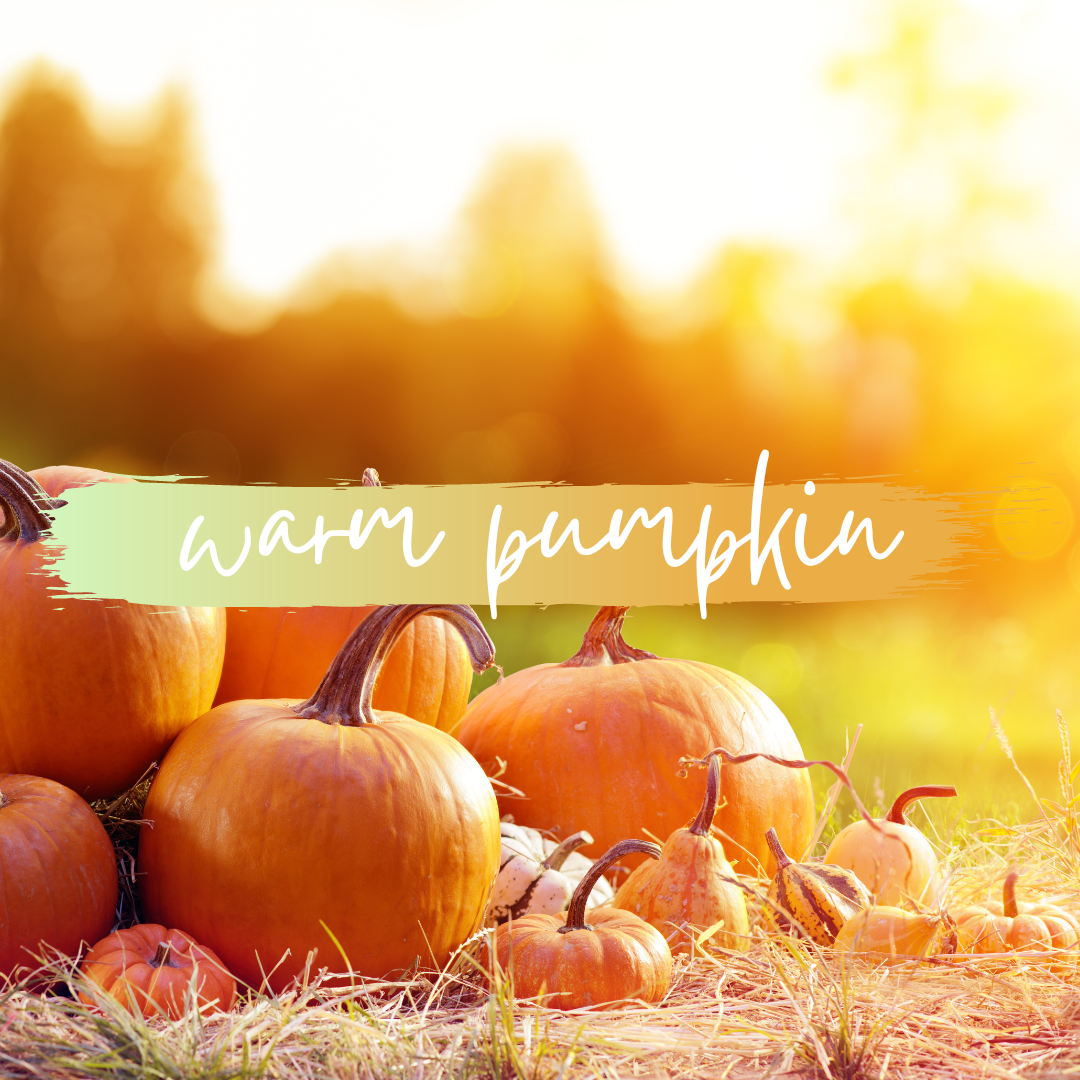 EXFOLIATING BODY SCRUB | warm pumpkin