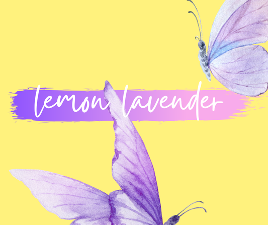 WAX TARTS  | lemon lavender