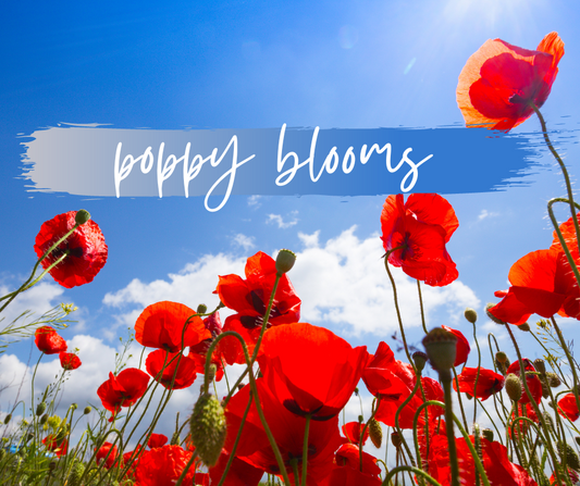 ROOM + LINEN SPRAY | poppy blooms | 8 OZ