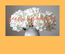 WAX TARTS  | peach hydrangea