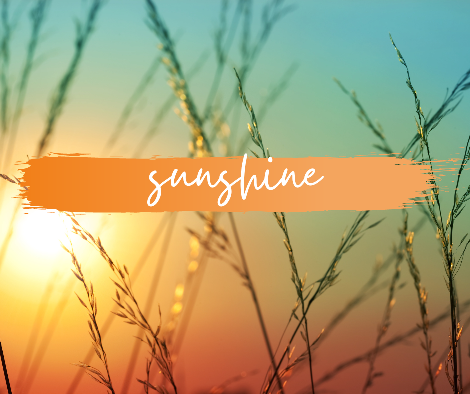 CARPET FRESHENER | sunshine