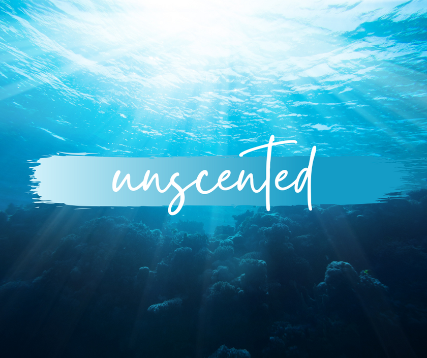 FOAMING HAND SOAP | unscented